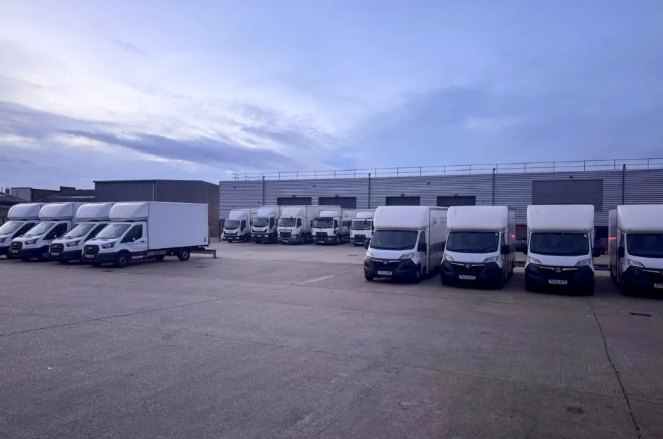 Options Great Hire